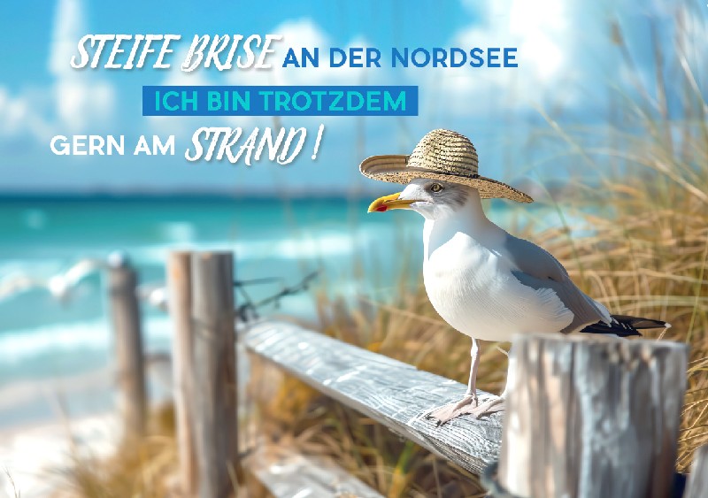 [265338] AK.NORDSEE,BRISE  NORD18